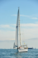 2015 Cape Charles Cup C 378
