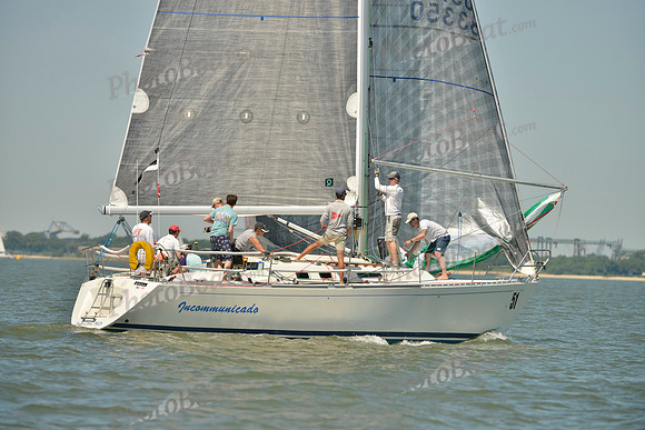 2017 Southern Bay Race Week A_0598