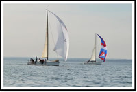 proof_2010 Block Island Race 599