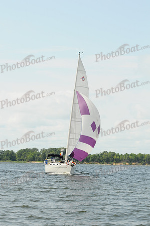 2011 Gov Cup D 310