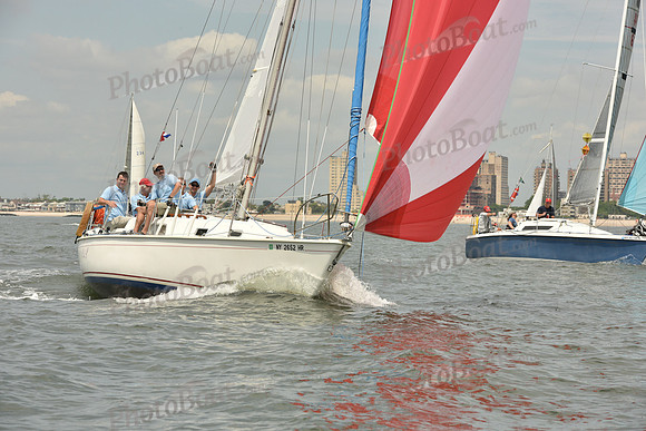2018 ALIR_1181