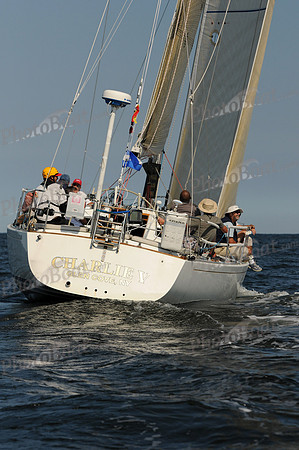 2011 Vineyard Race A 1480