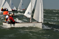 2012 Thistle Midwinters B 578