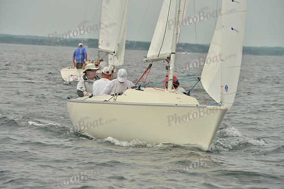 2016 Chester Race Week E_0152
