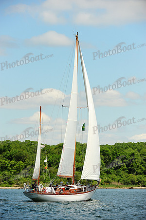 2014 NYYC Annual Regatta C 337