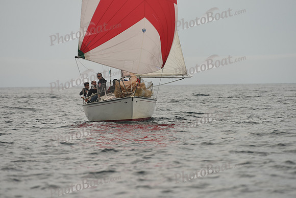 2016 Chester Race Week D_0801