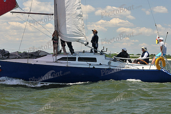 2014 Southern Bay Race Week C 2312