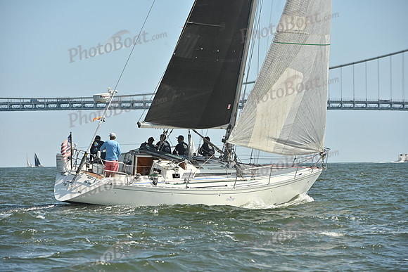 2026 ALIR_0371