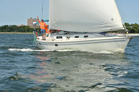 2026 ALIR_0263