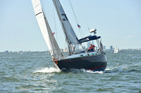 2026 ALIR_0439