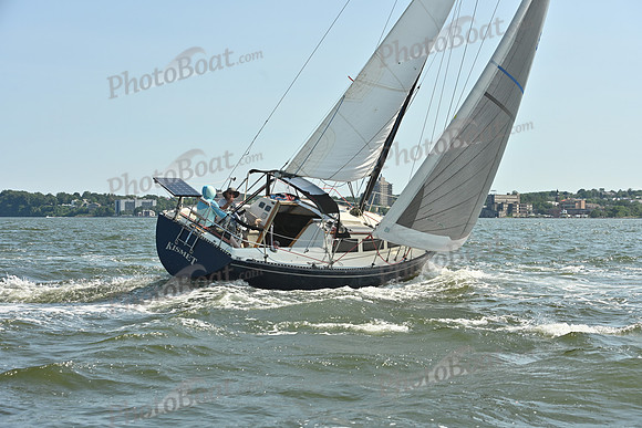 2026 ALIR_0425