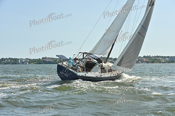 2026 ALIR_0426