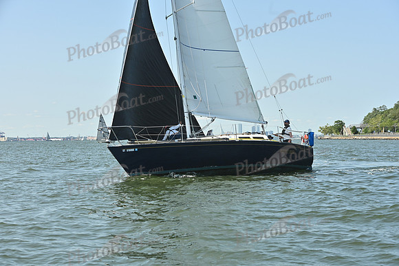 2026 ALIR_0037