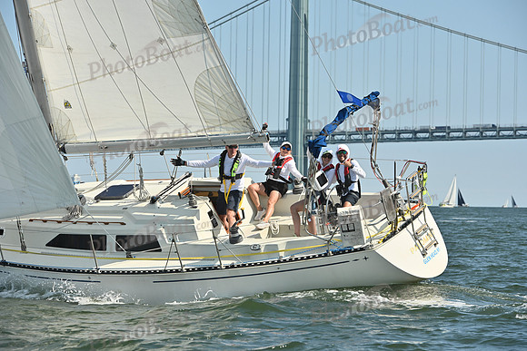2026 ALIR_0394