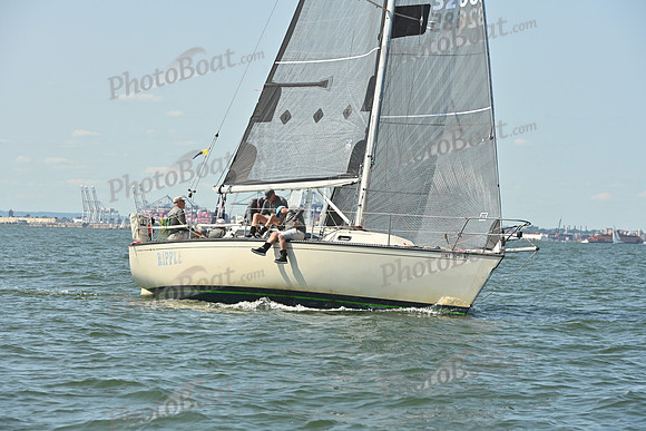 2026 ALIR_0081