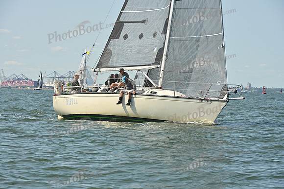 2026 ALIR_0082
