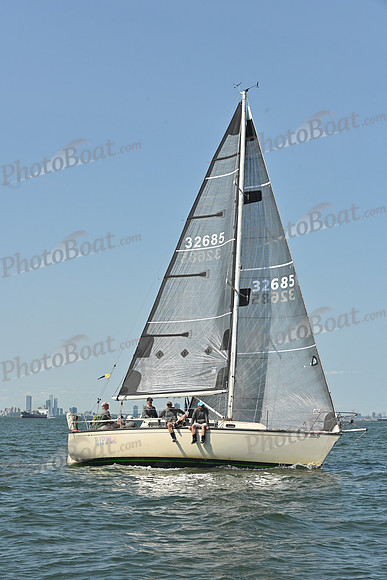2026 ALIR_0084