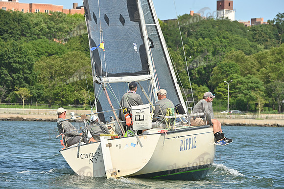 2026 ALIR_0090