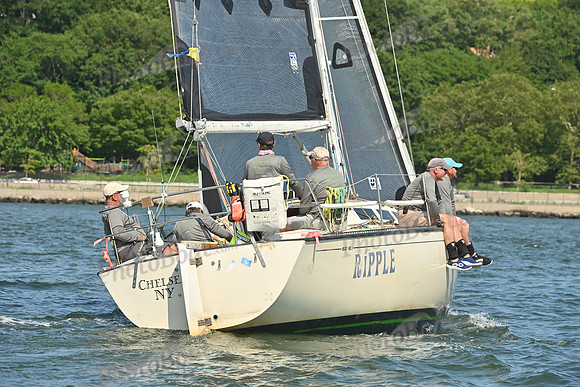 2026 ALIR_0088
