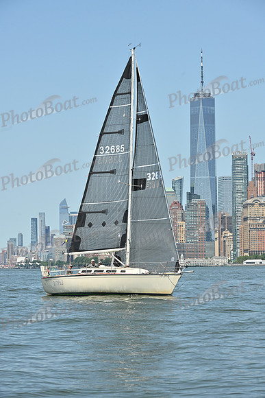 2026 ALIR_0822