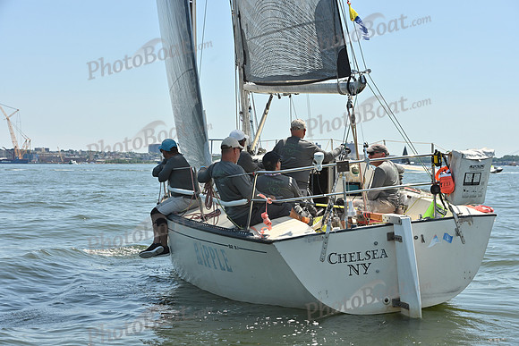 2026 ALIR_0827