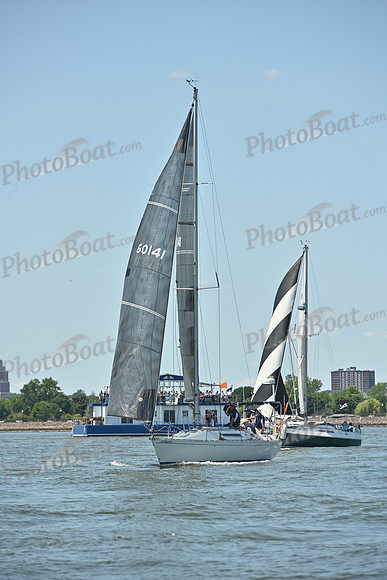 2026 ALIR_0533