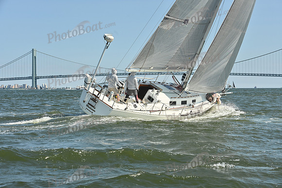 2026 ALIR_0335