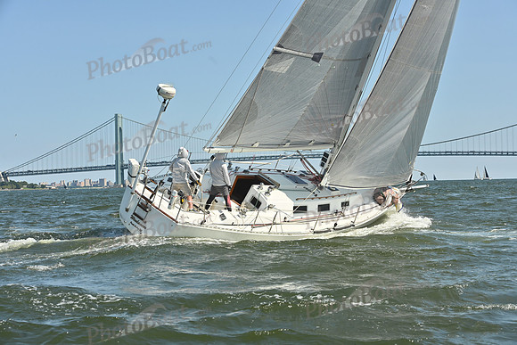 2026 ALIR_0334