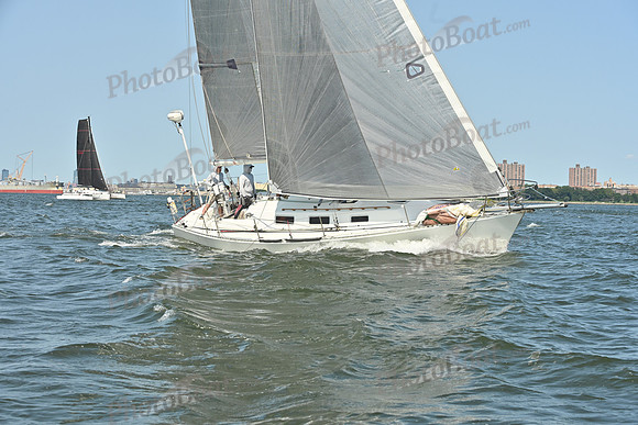 2026 ALIR_0330