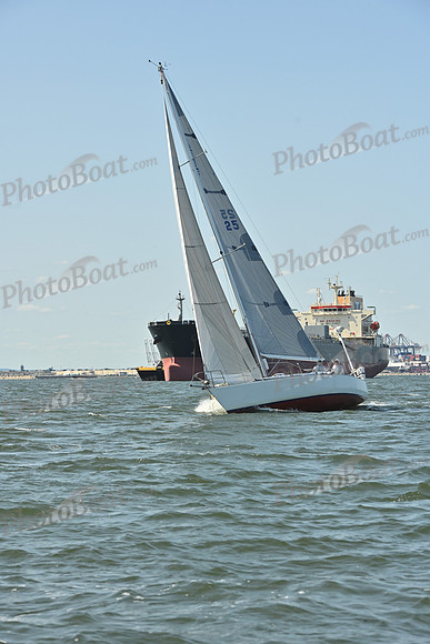 2026 ALIR_0314