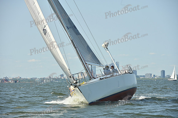 2026 ALIR_0317
