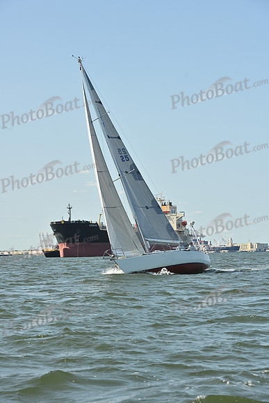 2026 ALIR_0316