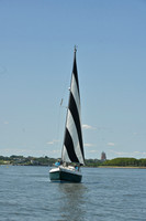 2026 ALIR_0719