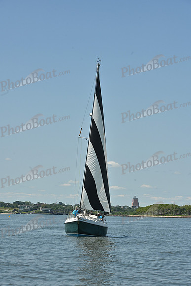 2026 ALIR_0719