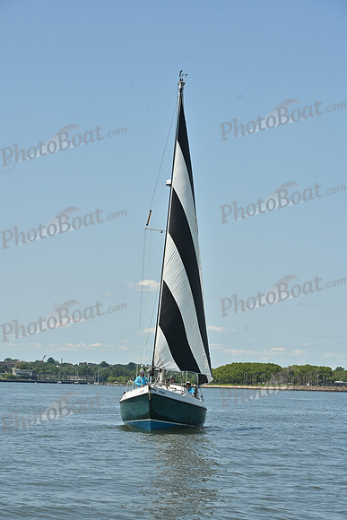 2026 ALIR_0720