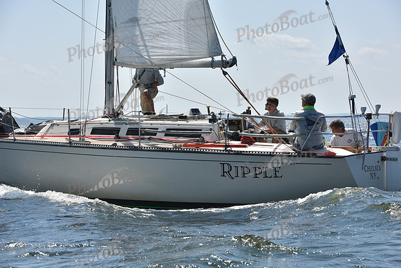 2020 Vineyard Race A_0438