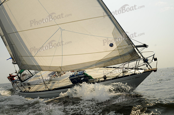 2011 Vineyard Race B 831