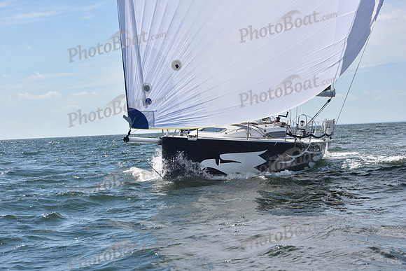 2020 Vineyard Race A_1761