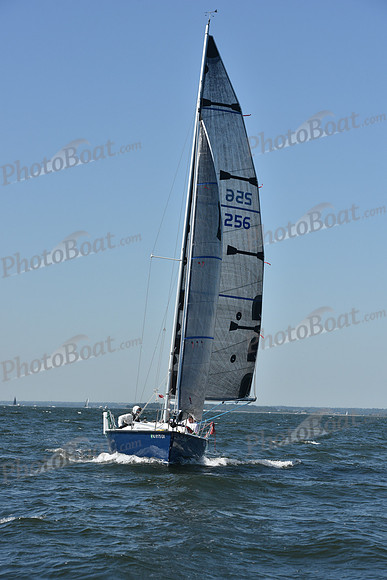 2019 Vineyard Race A_0380