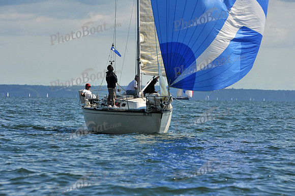 2010 IRC LIS 2024