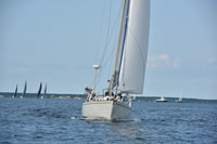 2019 Around Marthas Vineyard A_0528