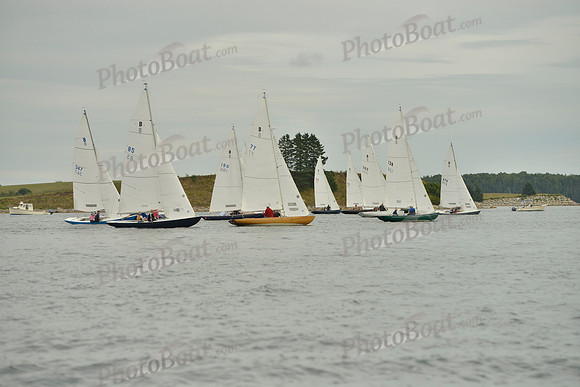 2016 Chester Race Week G_0028
