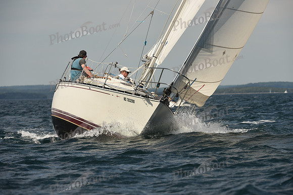2016 Chester Race Week A_0887