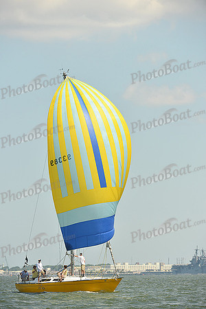 2015 Southern Bay Race Week A 1371