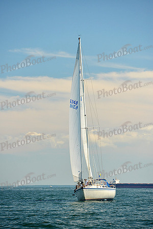 2015 Cape Charles Cup C 615