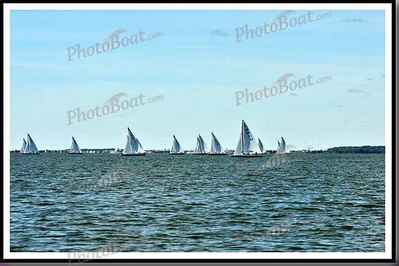 proof_2010_EScows_D 014