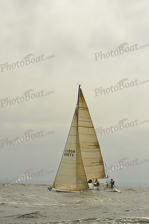2015 Vineyard Race A 245