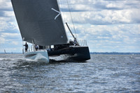 2021 Vineyard Race A 1981