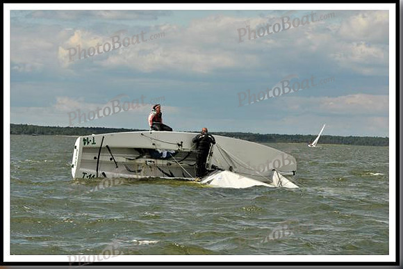 proof_2010_EScows_B 870