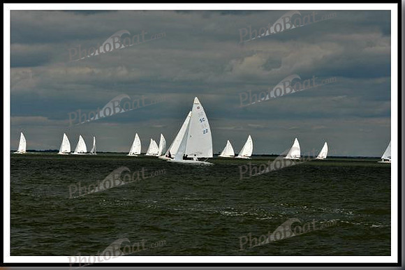 proof_2010_EScows_C 037